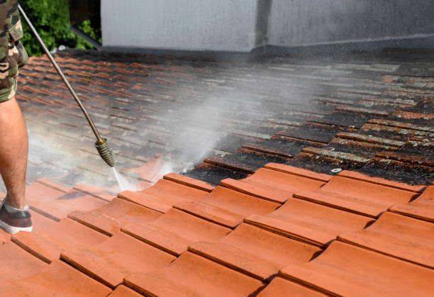 Best Residential Pressure Washing Services  in Avondale, LA